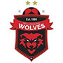 wolongganglianlogo